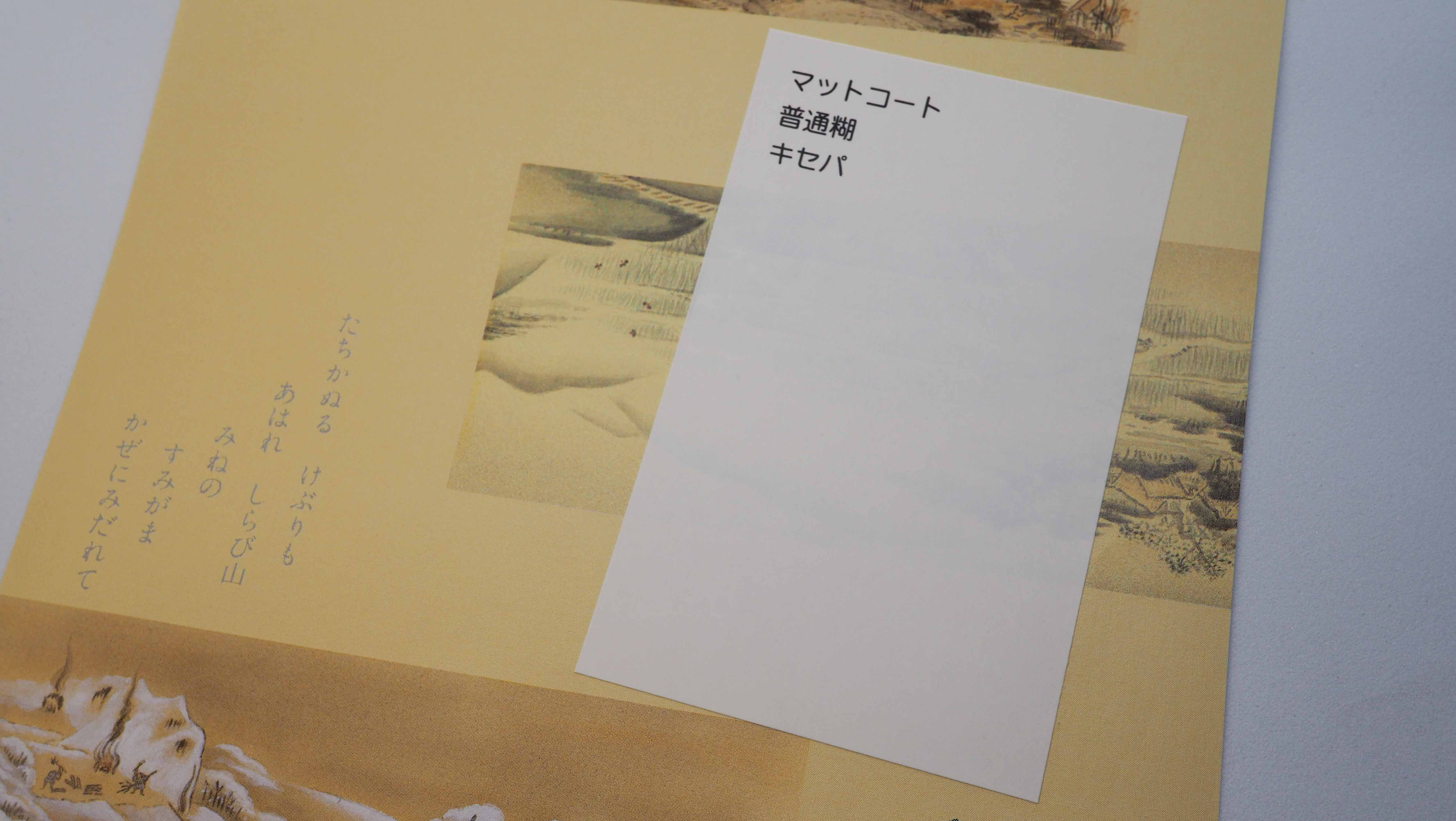 反射を抑えたマットコート紙の実物用紙見本